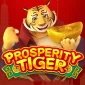 Properity Tiger